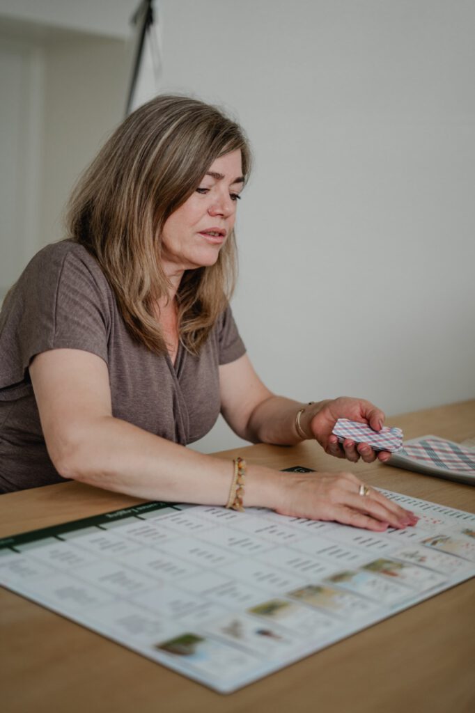 kaartlegging lenormand