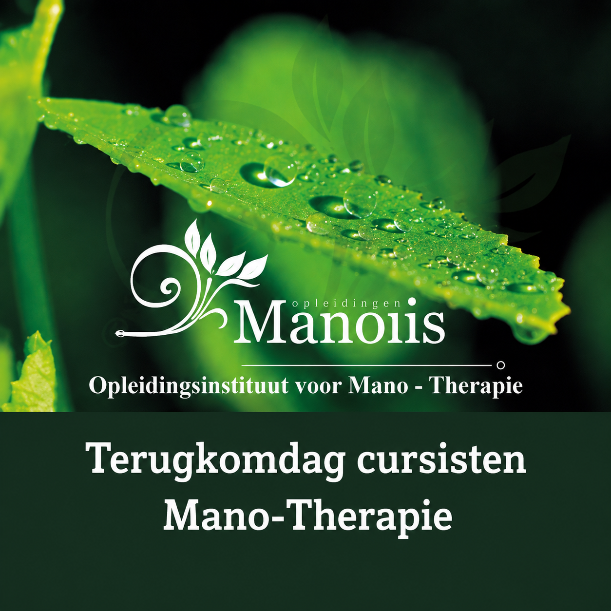 Terugkomdag cursisten Mano-Therapie ochtend